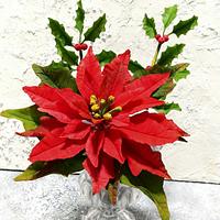 Poinsettia and holly 