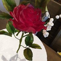 elegant gumpaste rose