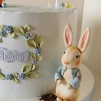 Peter rabbit cake 