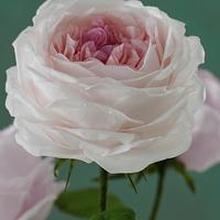 Wafer paper Roses