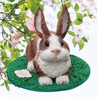🐇 Rabbit cake 🐇 