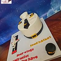 "Pilot cake"