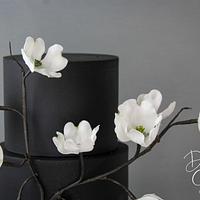 Shades of black with dogwoods