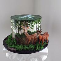 Roe deer cake