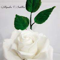 Rosa Blanca  de azúcar 😍