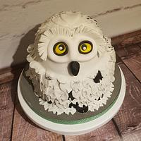 Harry Potter Hedwig Cake