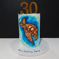Hand painted turtle cake 