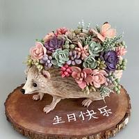 Hedgehog with succulents 