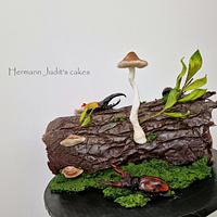 Beetle cake