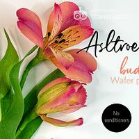 Wafer Paper FLOWERS - Alstroemeria - Peruvian Lily - no wires - 100% Wafer paper.