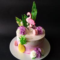 Flamingo cake Flamingo cake