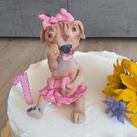 Dog cake