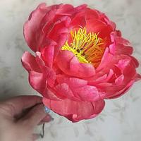 Wafer paper flowers-Peony 