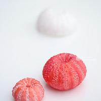 Wafer paper art - wafer paper sculpted sea urchin corals - no wires - 100% Wafer paper. 