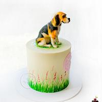 “When a beagle loves you, it is a forever kind of love!” 