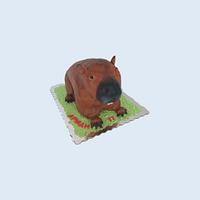 Capibara cake 