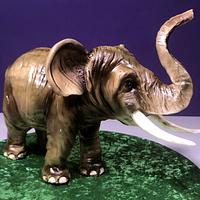 3D Elephant Cake
