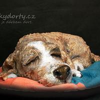 Dog cake for vets
