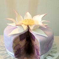 Lotus Checkerboard Inside cake