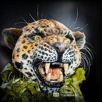 Sri Lanka's Leopard