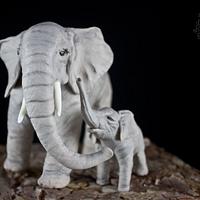 Animal Right Collaboration 2016_African Elephant