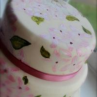 Hand painted two tier celebration cake