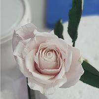 Gumpaste Rose