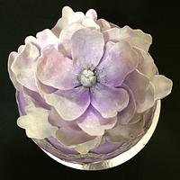Violet&Silver Lace Peony Cake