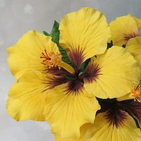 Yellow hibiscus sugar flowers