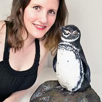 Meet Benji Polo - Galápagos Penguin - Bakers Unite to Fight. 