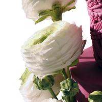 White Ranunculus flower wedding cake