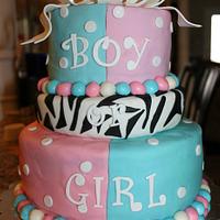 Boy or Girl Gender Reveal Cake