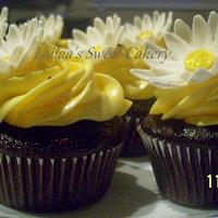 Yellow Daisy Cupcakes