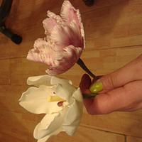 sugar flowers: tulip, parrot tulip, carnation, freesias and roses