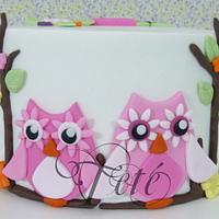 CAKE "TWO OWLS"