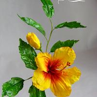 Wafer paper Hibiscus flower
