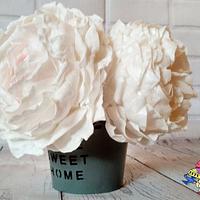 Wafer Paper Peonies