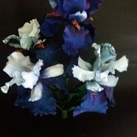 Blue Iris  in gum paste