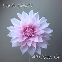 Another DAHLIA flower 