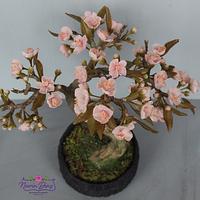 sakura bonsai  japan cake collaboration