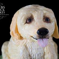 Labrador Puppy Cake - cake by DebsDuckCakes - CakesDecor
