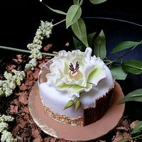 Nature themed cake