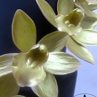 Elegant Gold Orchids