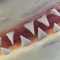 Great White Shark Valerio