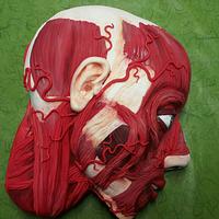 anatomic human head 
