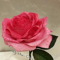 Wafer paper Rose