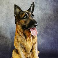 German Shepherd dog cake II