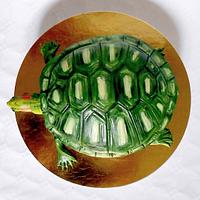 Tortoise: Red-eared slider
