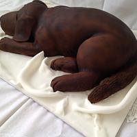 Airbrushed chocolate Labrador cake