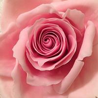 Antique Pink Icing rose